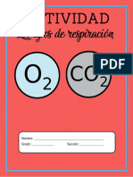 Actividades Tipos de Respiración