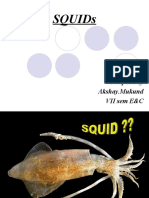 Squids: Compiled by Akshay - Mukund VII Sem E&C