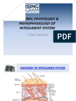 Anatomy Physiology of Integument System (2021)