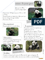 Le Panda 2017 BDG