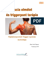 Fascia Elmélet És Triggerpont Terápia Új