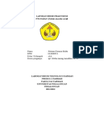 Lapsres FTS Ascorbit Acid