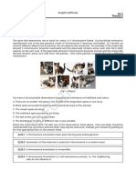 Exam Theory 2 V2 English