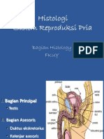 Sistem Reproduksi Laki-Laki Revisi