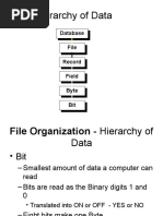 Hierarchy of Data: Database File