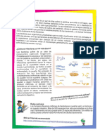 Manual de Experimentos Primaria La Ciencia Puede Ser Divertida 51 60