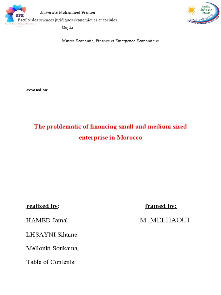 The Problematic of Financing Small and Medium Sized Enterprise in ...