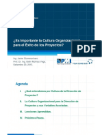 2013-07b-Javier Giammarinaro-Cultura Organizacional y Direcc Proyectos