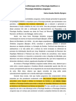 As principais diferenças entre a Psicologia Analítica e a Psicologia Simbólica Junguiana