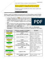 Resumen Lengua Tema 17