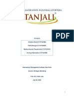 Patanjali - Full and Final Report