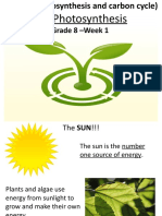 Unit 1 - 1.1 Photosynthesis - Week 1-T2 .