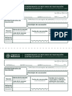 Formatos para Jornada de Vacunación