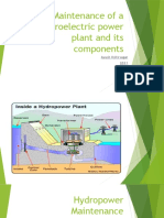 Maintaining hydroelectric power plants