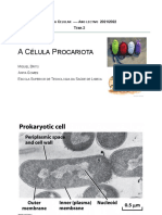 3.Biologia Celular_tema 2_Procariotas