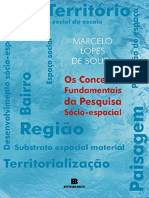 resumo-os-conceitos-fundamentais-da-pesquisa-socio-espacial-marcelo-lopes-de-souza