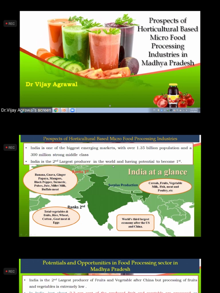Prospects of Hort Based Micro Food Processing Industries in MP PDF