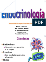 Sistema Endocrino I