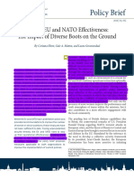 Raising EU and NATO Effectiveness - The Impact of Diverse Boots On The Ground