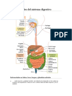 Enfermedades del sistema digestivo