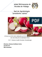 Universidad Michoacana de San Nicolás de Hidalgo Facultad de Agrobiología "Presidente Juárez"