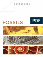 Fossils (DK Smithsonian Handbook) by DK