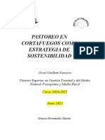 Pastoreo en Cortafuegos Como Estrategia de Sostenibilidad - TFG - Docx - Removed