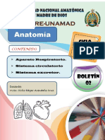 Anatomia Ii