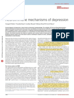 Neuroimmune Mechanisms of Depression: Review