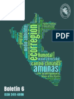 B6-Boletin Nro 6 Del Colegio de Geografos Del Perú - 2021