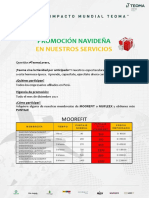  Servicios Teoma (Perú)