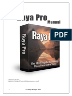Raya Pro Manual - FR