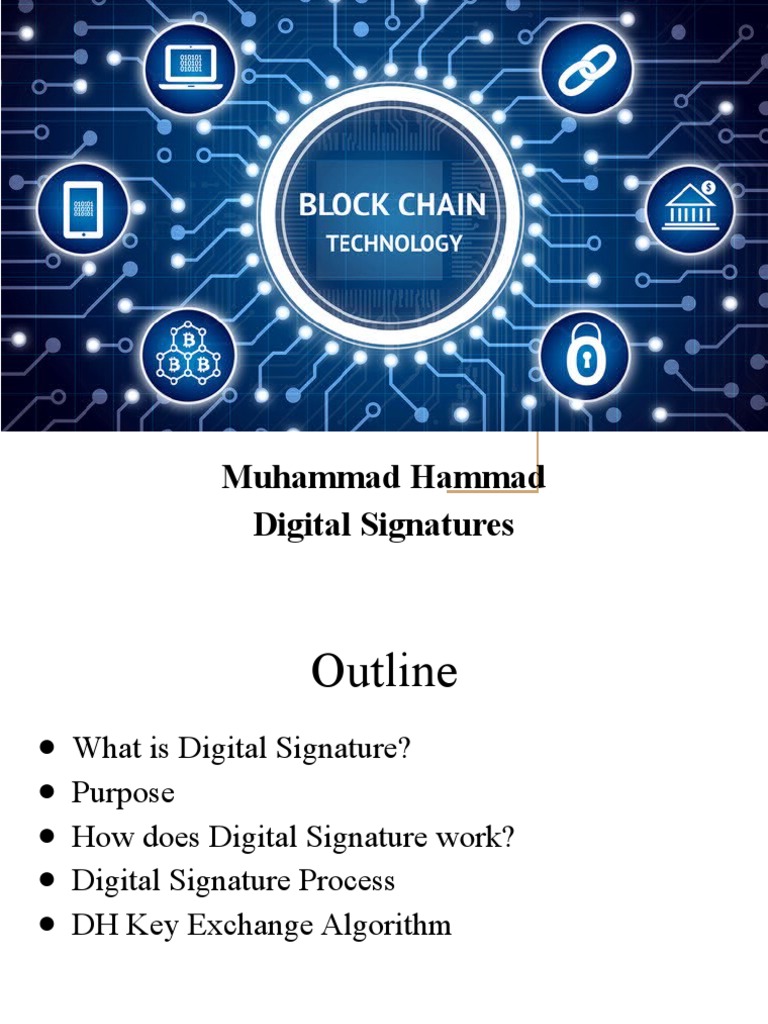 Muhammad Hammad Digital Signatures | PDF | Key (Cryptography) | Public ...
