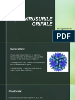 Virusurile%20gripale%20(1)