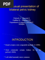 Download An unusual presentation of bilateral pelvic kidney by rajan kumar SN5508593 doc pdf