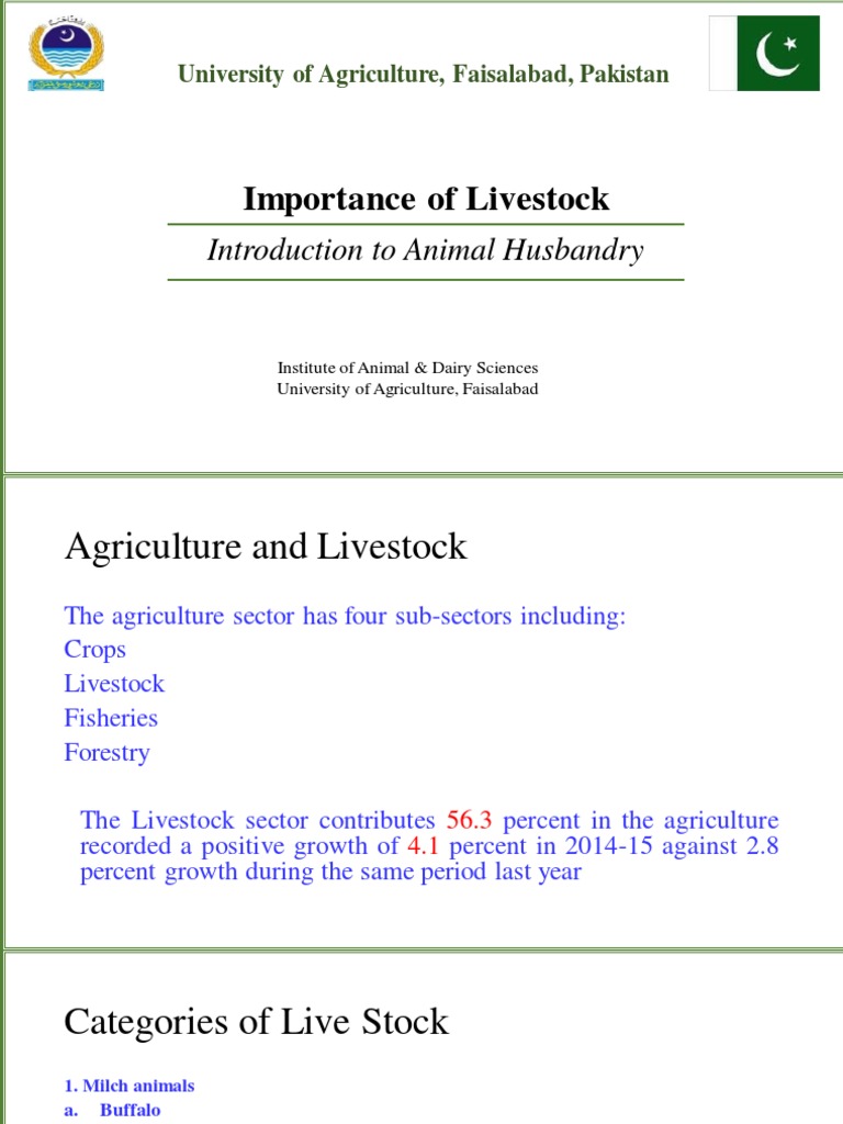 Livestock visual data 4
