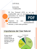 2021-1 Gas Natural
