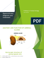 Lect7. Adrenal Glands, Hypocorticism