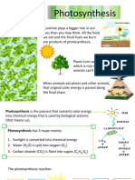 Photosynthesis Presentation NXPowerLite