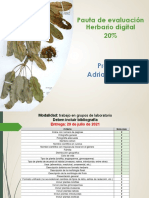 Pauta de Evaluación Herbario Digital (Semestre 1-2021)