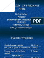 BNS Physiology of Mare Pregnancy