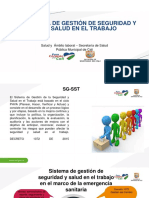 Sistema de Gestion de Seguridad y Salud en El Trabajo