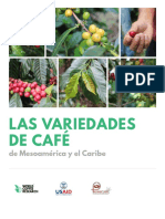 variedad de cafe 