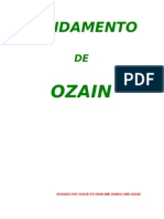 (2)_fundamento_de_ozain