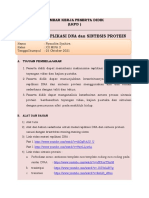 LKPD Replikasi Dna-Sintesis Protein