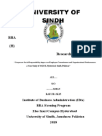 University of Sindh: BBA (H) Research Project