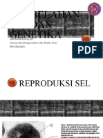 Pembelahan Sel Dan Genetika: Mata Kuliah Biologi Sel Disusun Dari Berbagai Sumber Oleh: Rindita, M.Si. Ffs-Uhamka