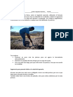 Examen U4 Evaluación Ergonómica Pedrooo