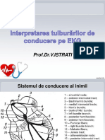 Tulburari de Conducere (1)-2