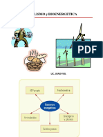 Bioenergética y Metabolismo